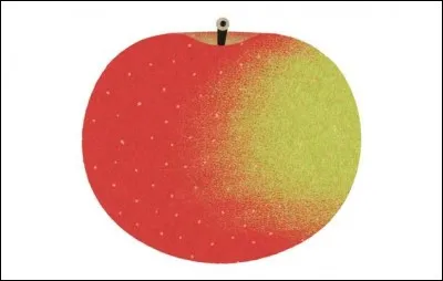 What is the name of this type of apple ?