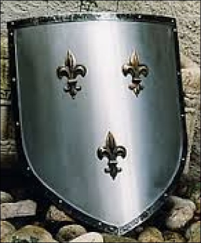 What is the name of this shield ?