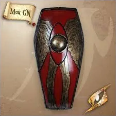 What is the name of this shield ?
