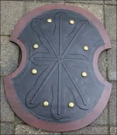 What is the name of this shield ?