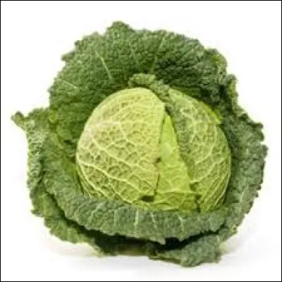 In Western Europe people say that baby boys grow in ... .