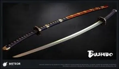 What is the name of this saber ?