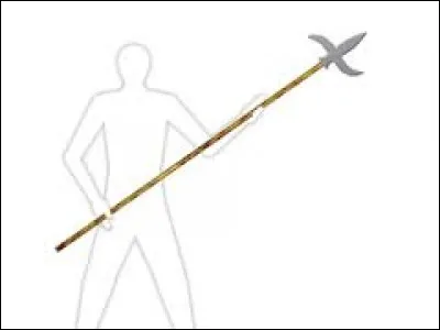 What is the name of this weapon ?