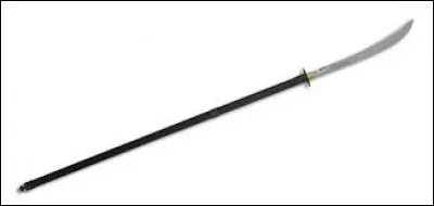 What is the name of this weapon ?