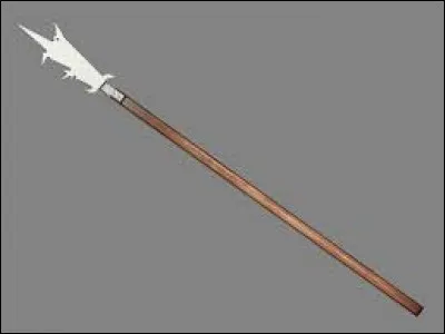 What is the name of this weapon ?