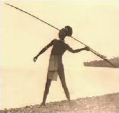 What is the name of this weapon ?