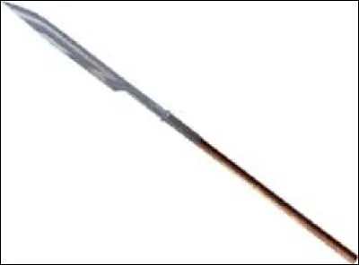 What is the name of this weapon ?