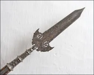 What is the name of this weapon ?