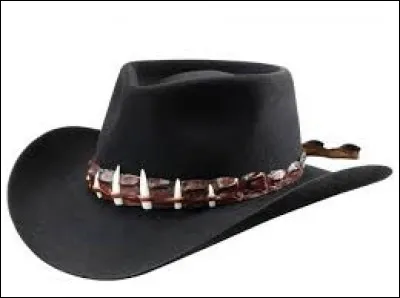 What is the name of this headgear ?