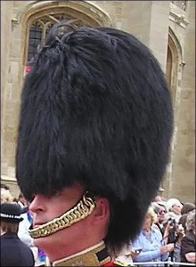 What is the name of this headgear ?
