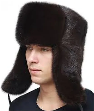 What is the name of this headgear ?