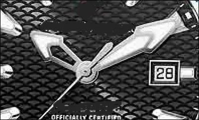 Which brand makes this watch?