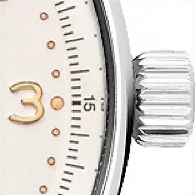 Which watch is this?