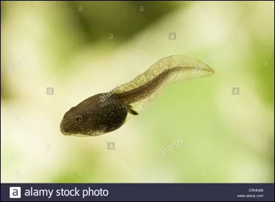 What's in the photo?