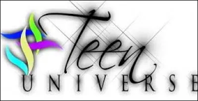 This Logo belongs to the Federation : Miss Teen Universe