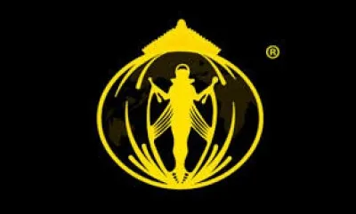 This Logo belongs to the Federation : Miss Tourism World