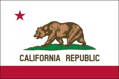To which federal state does this flag belong ?