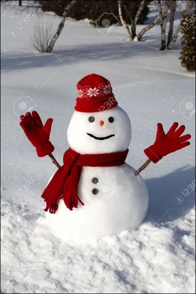 C) It's cold today, the temperature is -15 &deg;C : fifteen degrees below ....