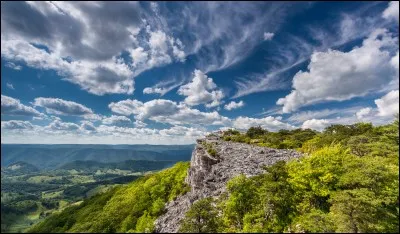 Pick a colour that appeals to you.