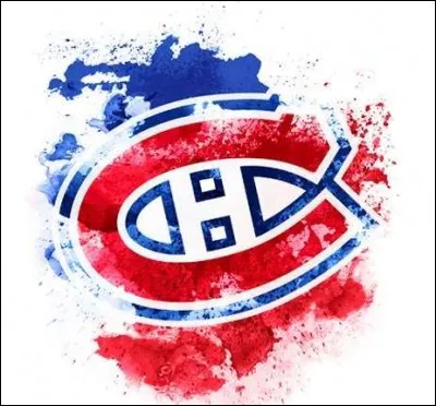 Who is the No. 1 goalie for the Montreal Canadiens?