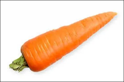 What is a carrot?