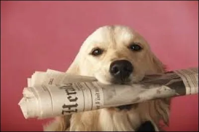 Tobby, can you ... me the paper please?