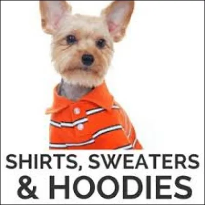 Have a nice time in London, and don't forget to ... me a souvenir.