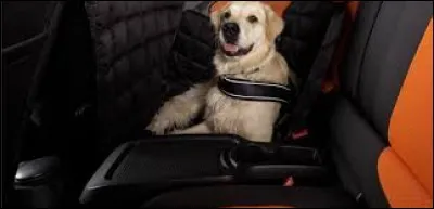 It's late. We’d better go and ... Robert from the station.