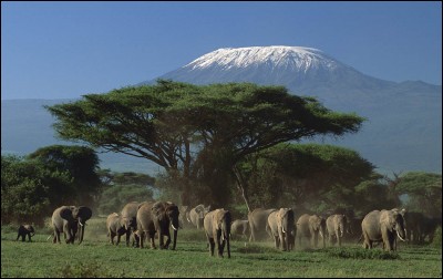 In Tanzania, Mount Kilimanjaro is composed of three volcanic cones. The highest is called :