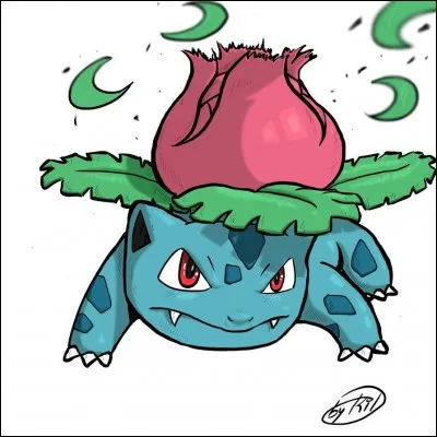 What is its evolution?