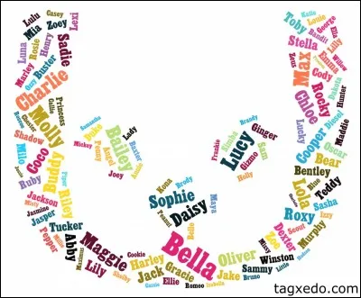 How would you choose names for pets?