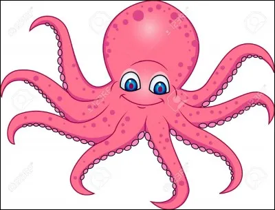 Do octopus have limbs or tentacles?