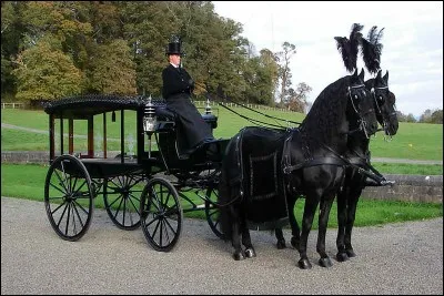 What is Darani's job at the Torture Pit?