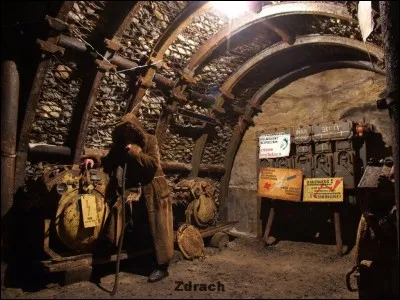 Where is coal extracted?