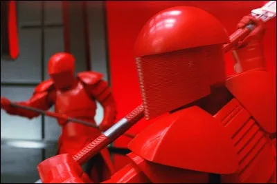 What is the function of the Praetorian Guards?