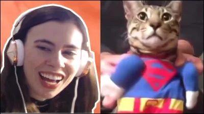 Is this their old cat?