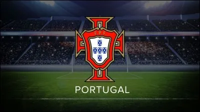 Will Euro 2016 winners Portugal take part in the 2018 World Cup?