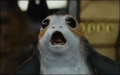 What is the name of this creature living on the planet Ahch-To?