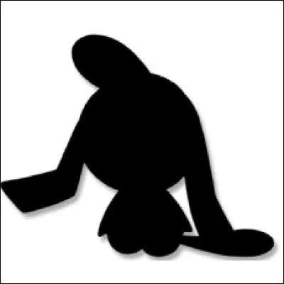 Which Pokemon does this shadow belong to?