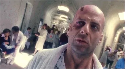 The army of ... monkeys!