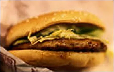 Which country is Teriyaki Burger from ?