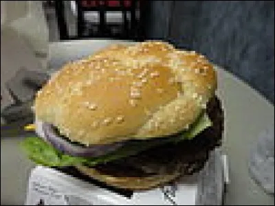 Which country is Agnus Burger from ?