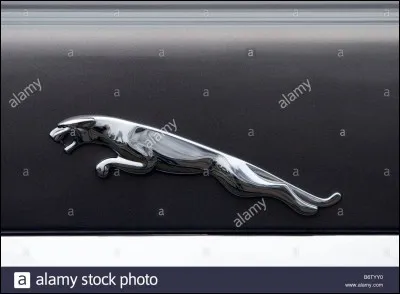 What is the brand of this logo?