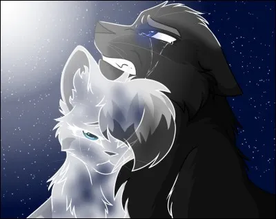 I have loved two cats, and I am the companion of a third. I have four kittens, one legal, three illegals. I am: