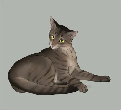 I'm a horrible chef, I've even made kittens under 6 moons apprentices. I am: