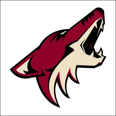 Whose idea was it to create the team (Arizona Coyotes)?