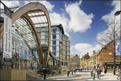 Which of these countries has a city named Sheffield?