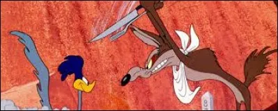 Here's a coyote who keeps trying to catch this fast bird to eat it, his name is...