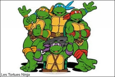 In Ninja Turtles, what is the name of the one with the red headband?