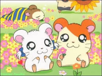 Here are some cute little hamsters, the main character is...